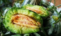 山东两位网红吃瓜事件真相,揭秘背后真相与争议